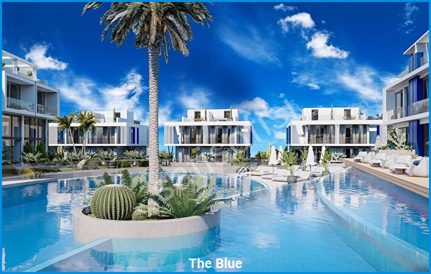 The Blue görsel 14