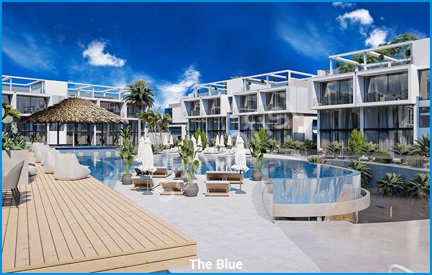The Blue görsel 15
