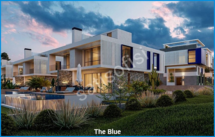 The Blue görsel 19