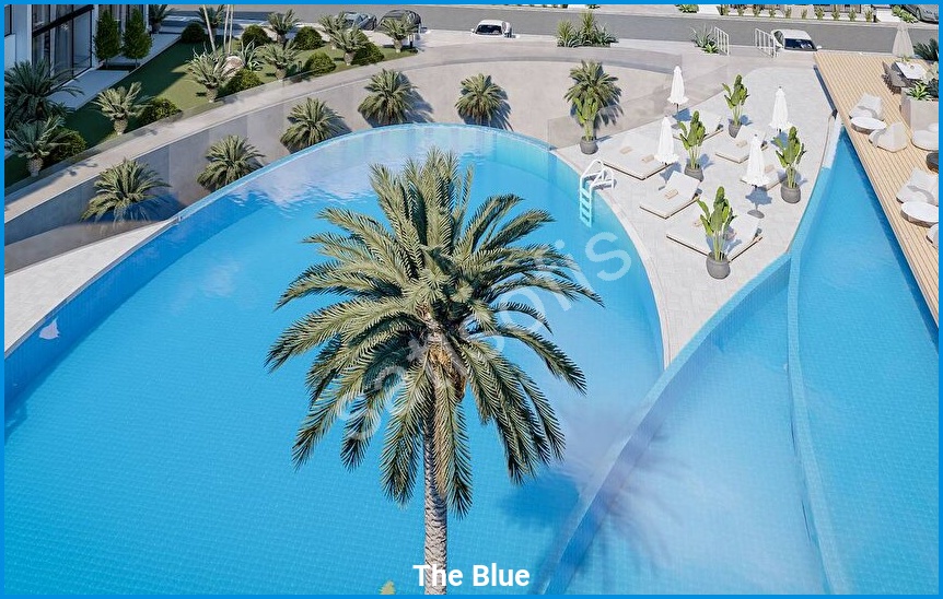 The Blue görsel 2