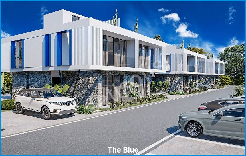 The Blue görsel 4