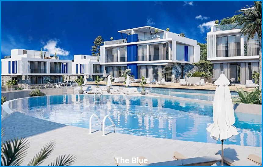 The Blue görsel 6