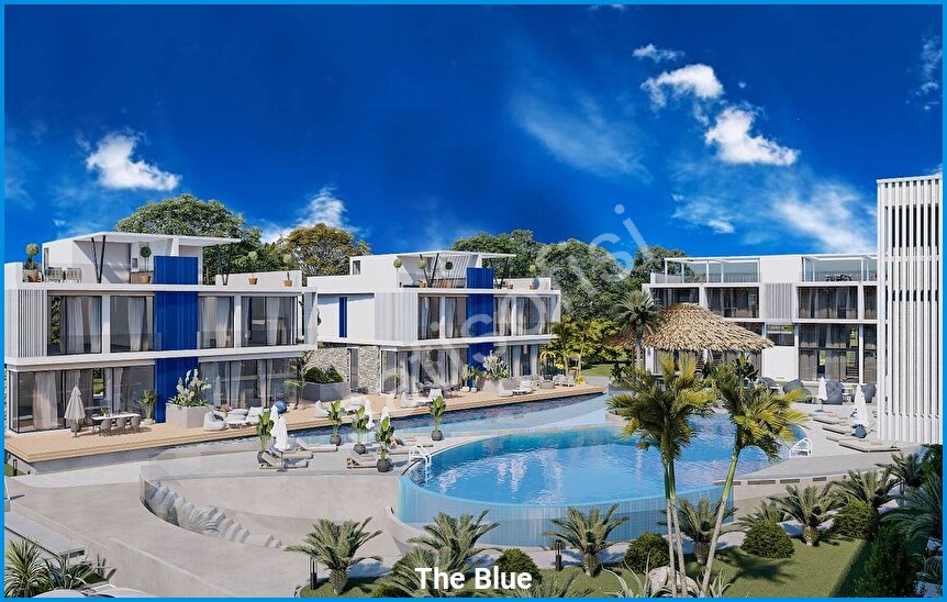 The Blue görsel 8