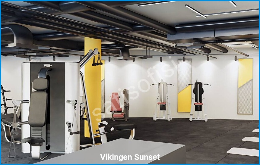 Vikingen Sunset görsel 14