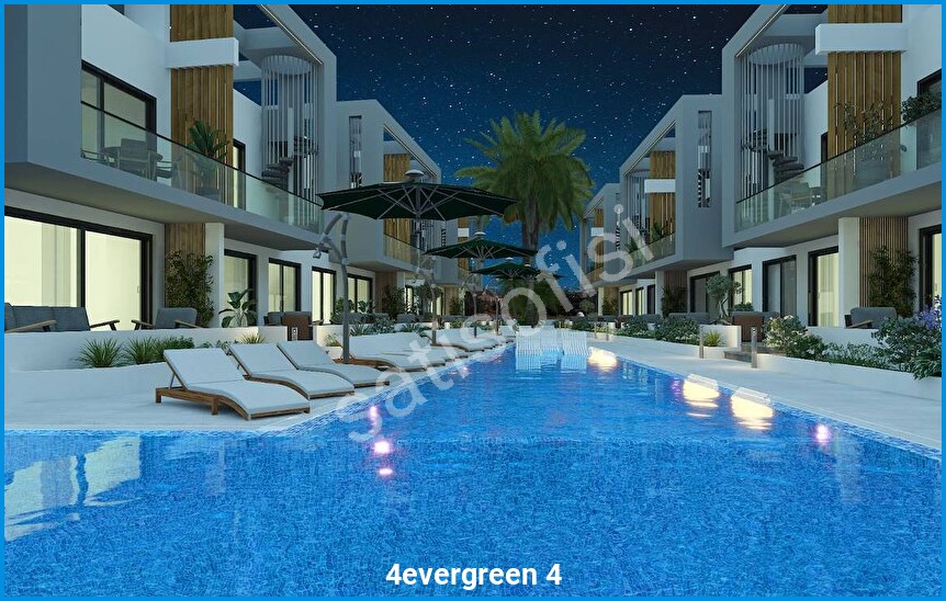 4evergreen 4 görsel 11