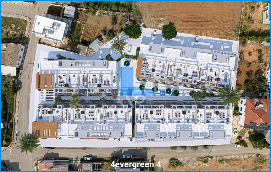 4evergreen 4 görsel 15