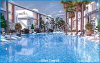 Olive Court 2