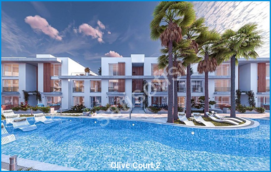 Olive Court 2 görsel 2