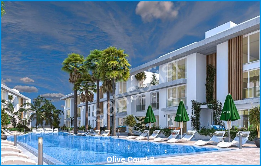 Olive Court 2 görsel 3