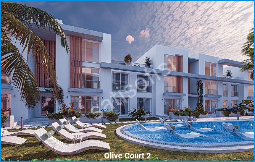 Olive Court 2 görsel 4
