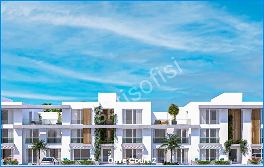 Olive Court 2 görsel 5