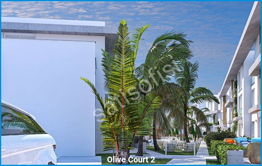 Olive Court 2 görsel 6