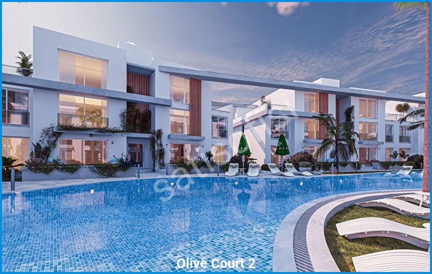 Olive Court 2 görsel 7