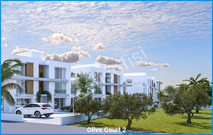 Olive Court 2 görsel 8