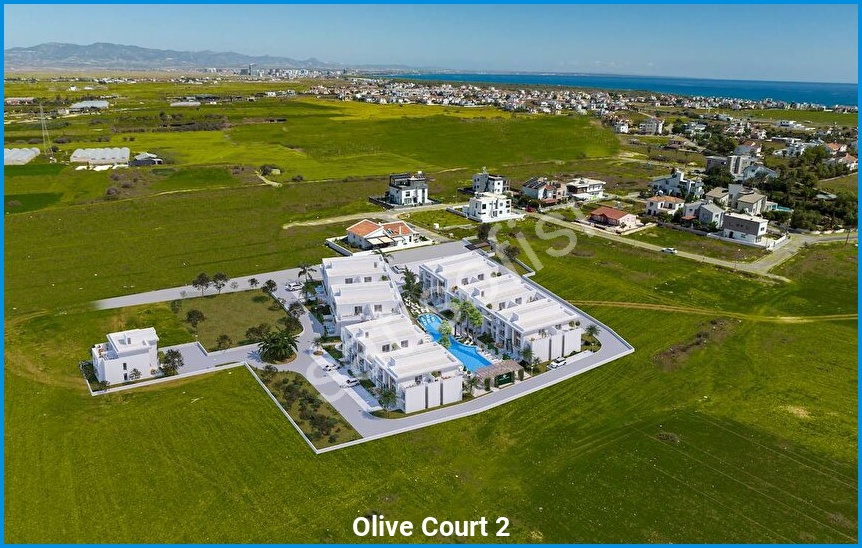 Olive Court 2 görsel 9