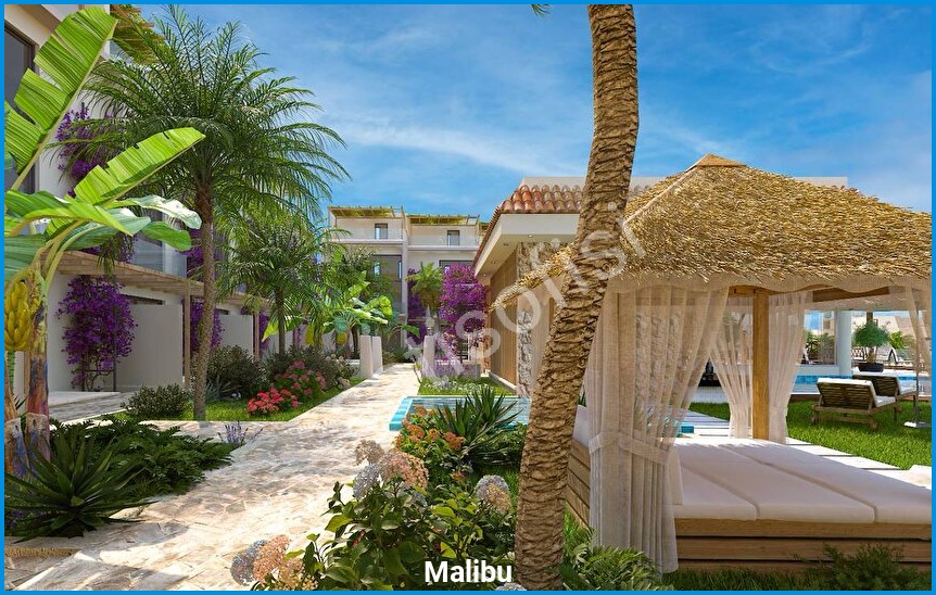 Malibu görsel 15