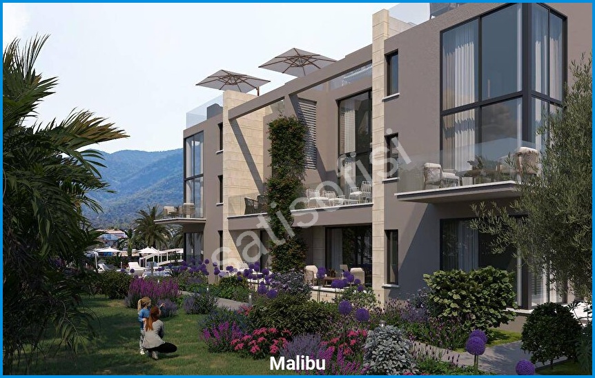 Malibu görsel 20