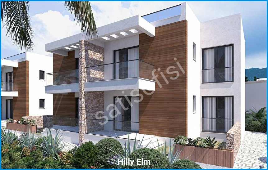 Hilly Elm 11