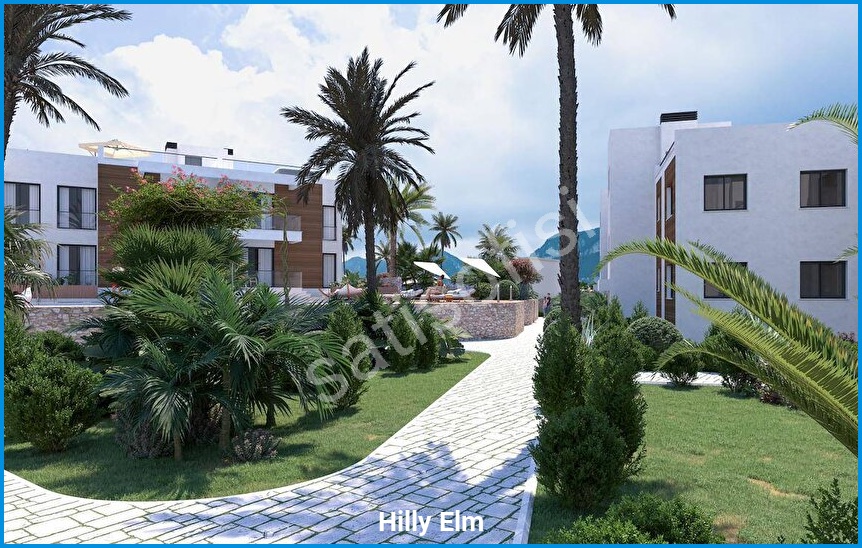 Hilly Elm 12