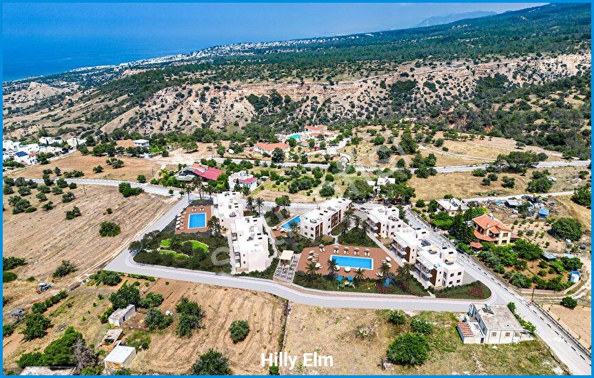 Hilly Elm 15