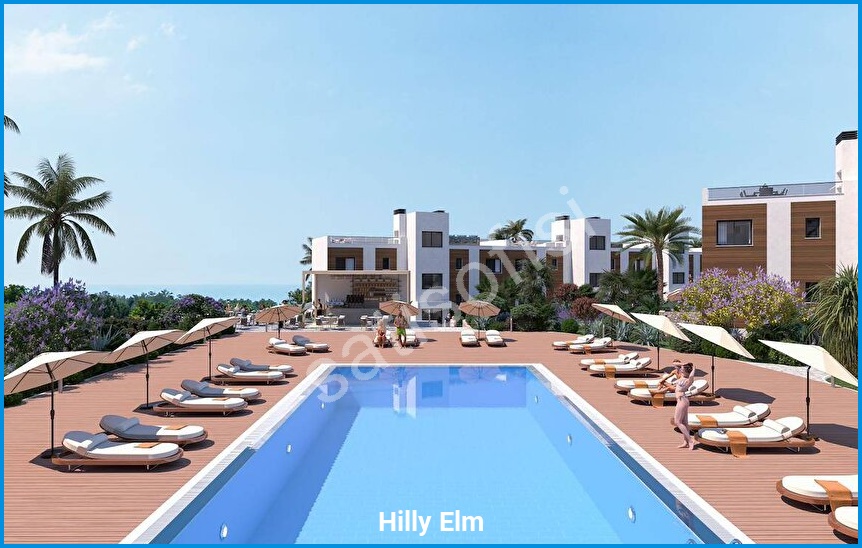 Hilly Elm 2