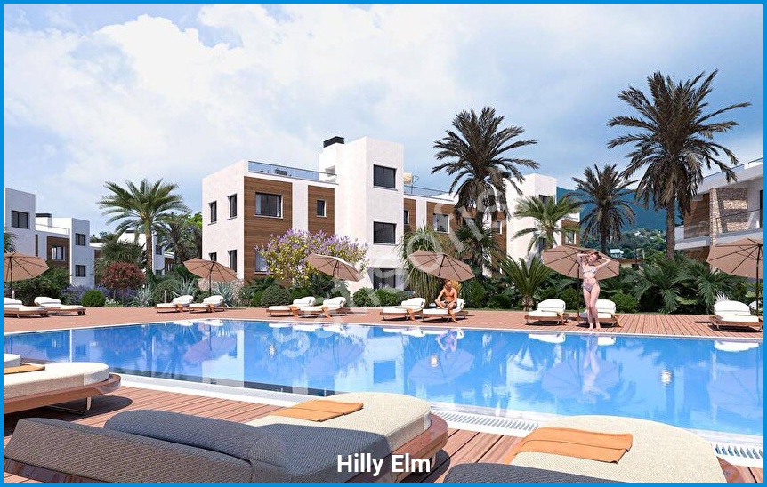 Hilly Elm 3