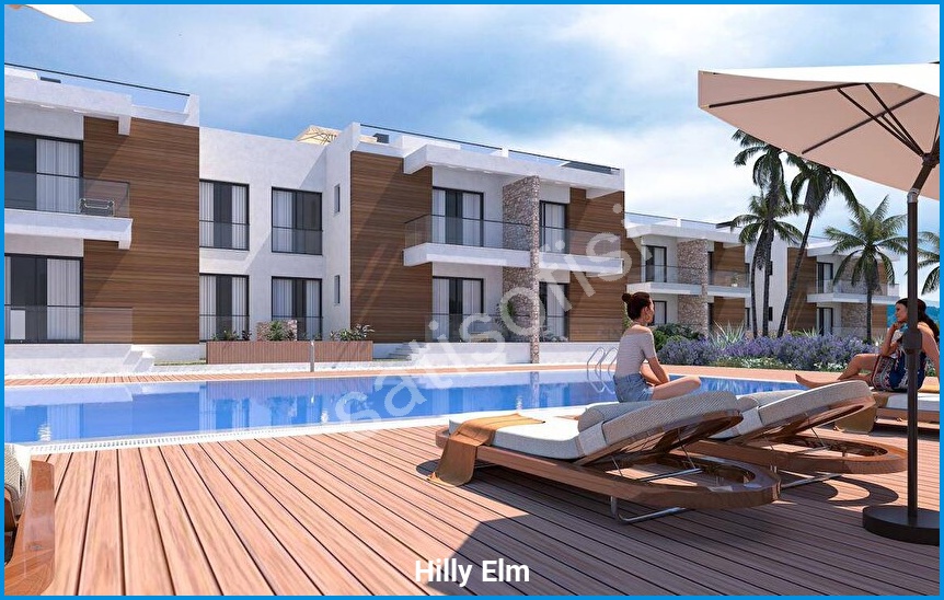 Hilly Elm 4