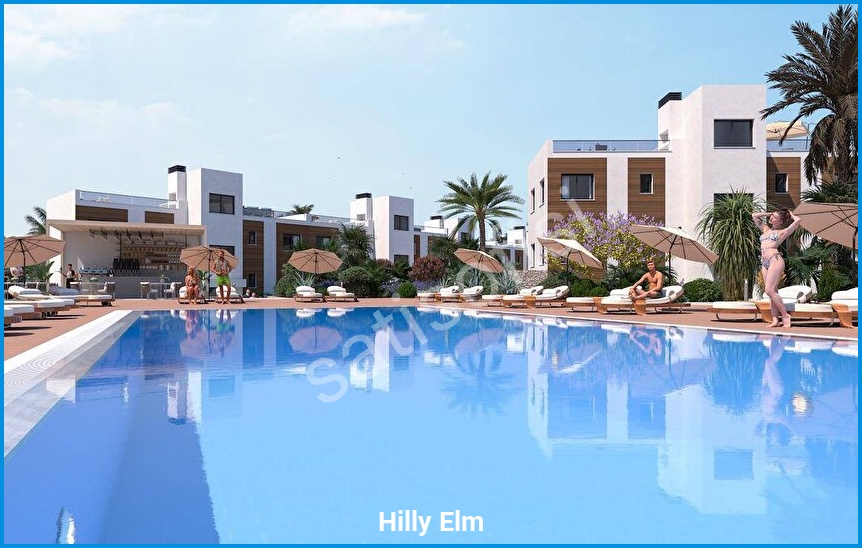 Hilly Elm 5