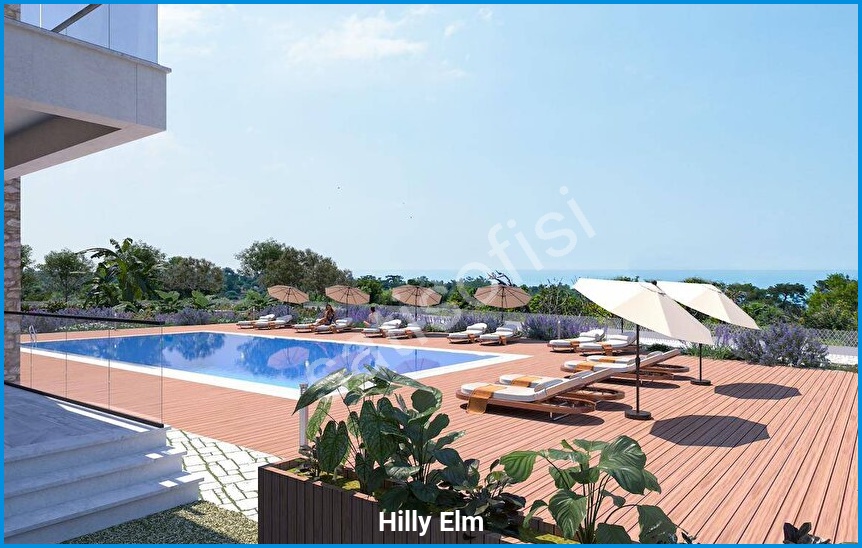 Hilly Elm 6