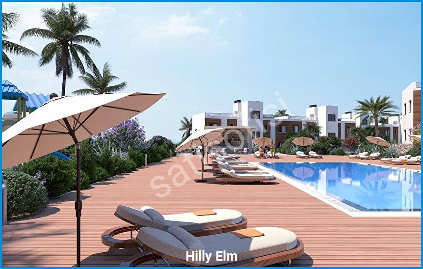 Hilly Elm 7