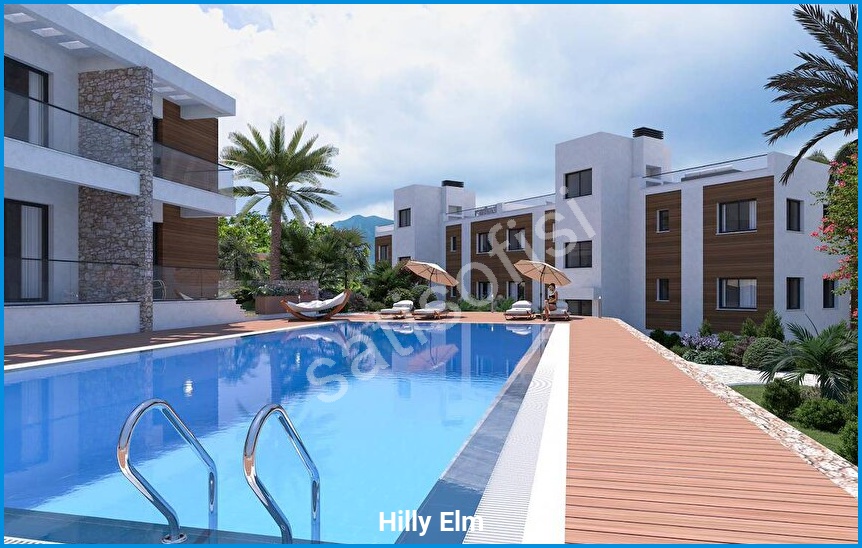 Hilly Elm 8