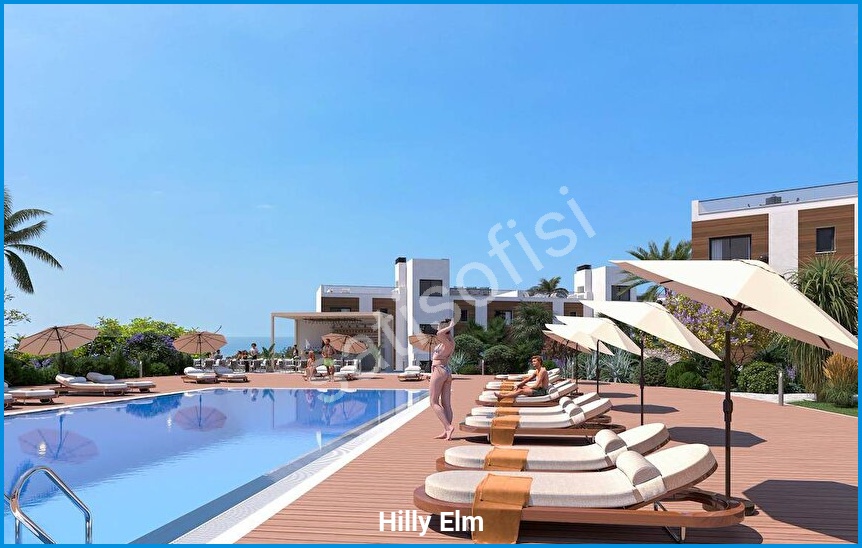 Hilly Elm 9