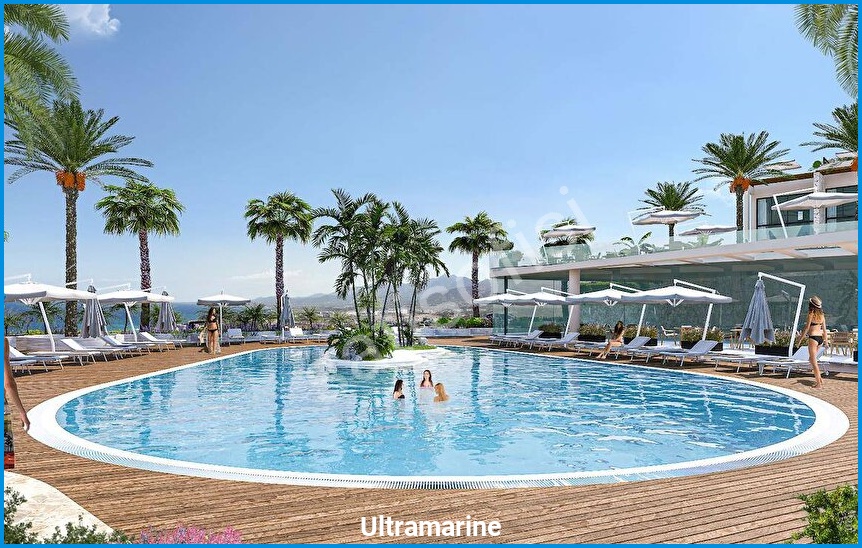 Ultramarine 2