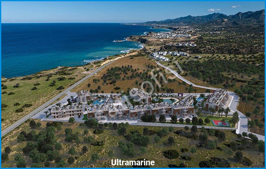 Ultramarine 20