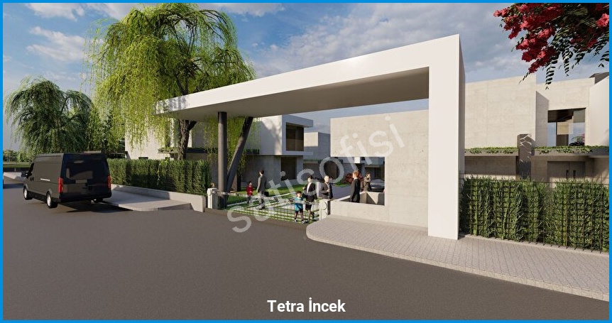 Tetra İncek görsel 10
