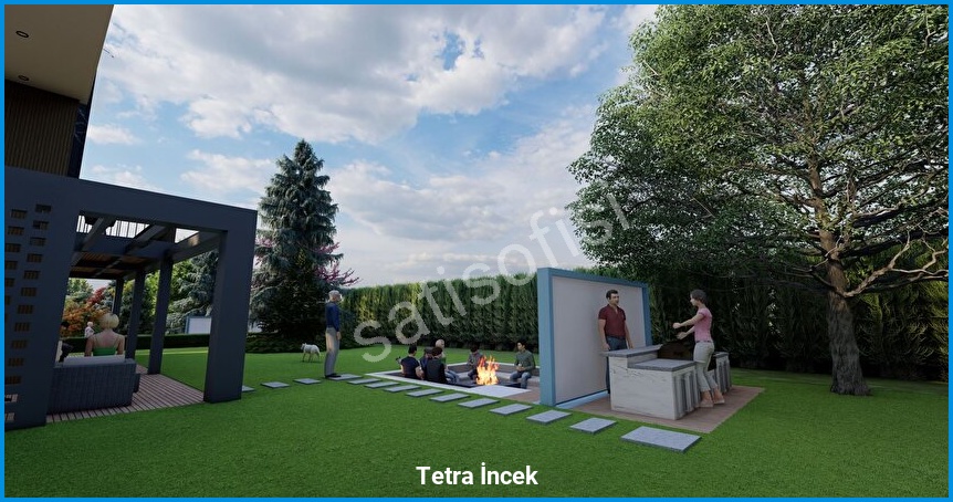 Tetra İncek görsel 11