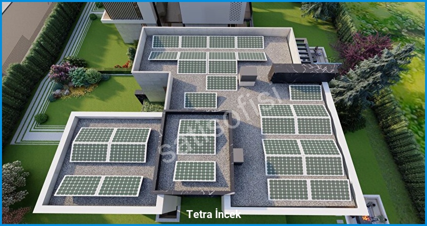 Tetra İncek görsel 14