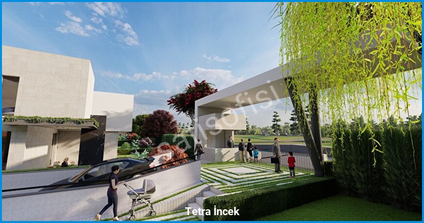 Tetra İncek görsel 16