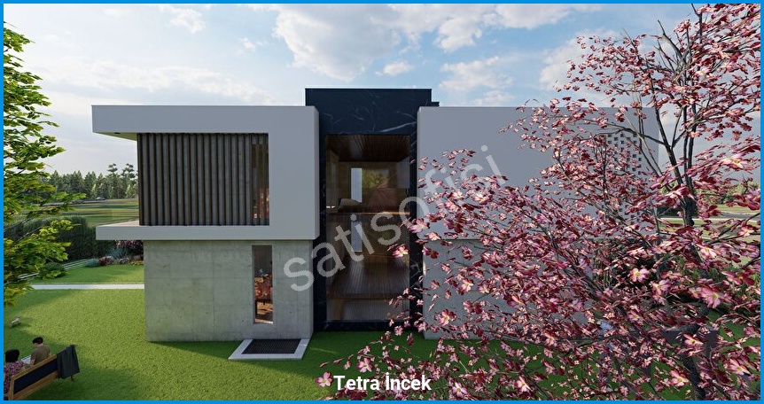 Tetra İncek görsel 17