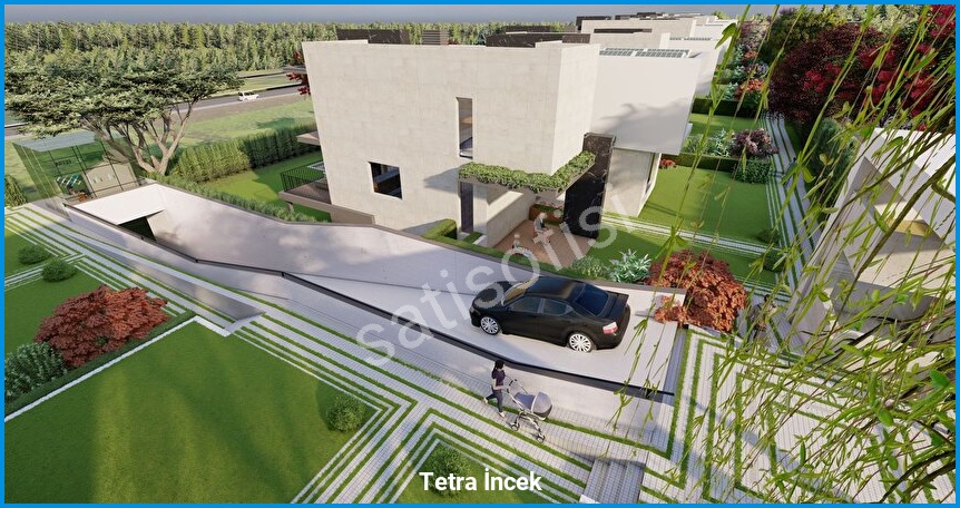Tetra İncek görsel 18