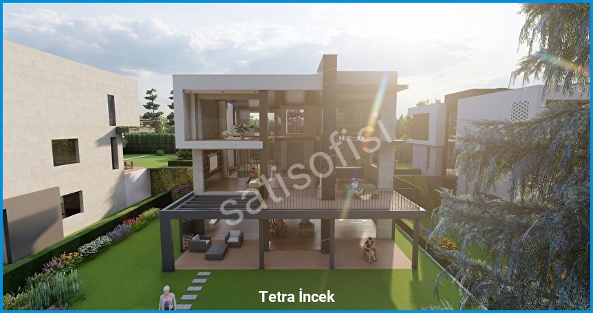 Tetra İncek görsel 19