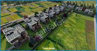 Tetra İncek