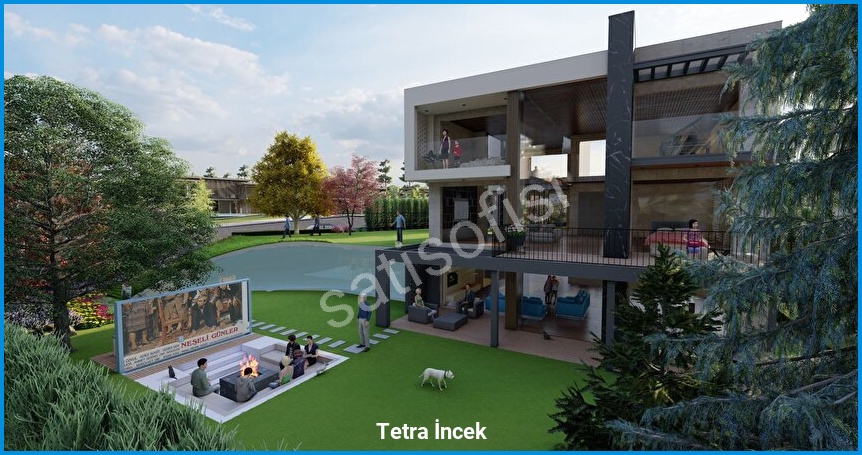 Tetra İncek görsel 2