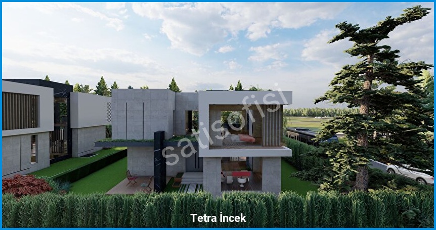 Tetra İncek görsel 20