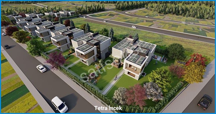 Tetra İncek görsel 3