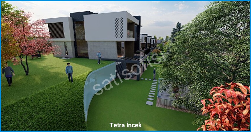 Tetra İncek görsel 4
