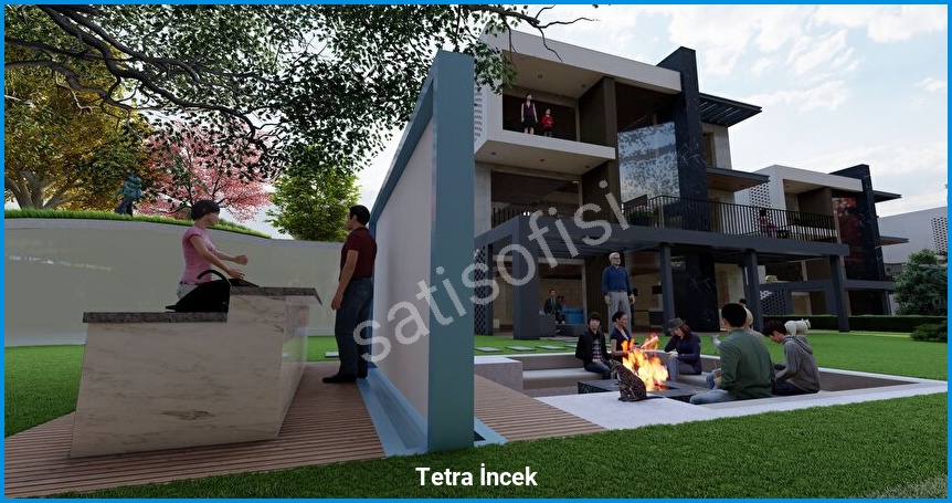 Tetra İncek görsel 6