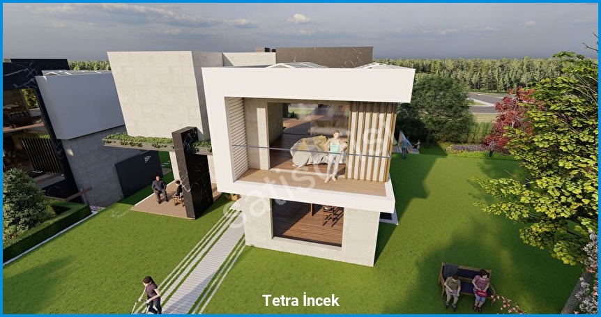Tetra İncek görsel 7