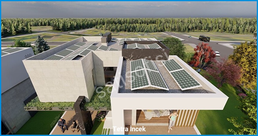 Tetra İncek görsel 9