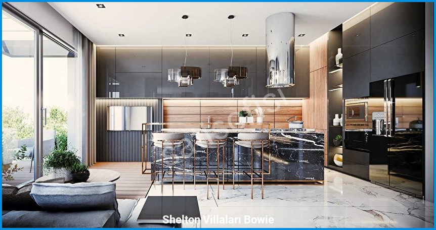 Shelton Villaları Bowie görsel 11